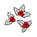 Holly. Traditional Christmas symbol. Winter theme. Evergreen leaves with red berries.